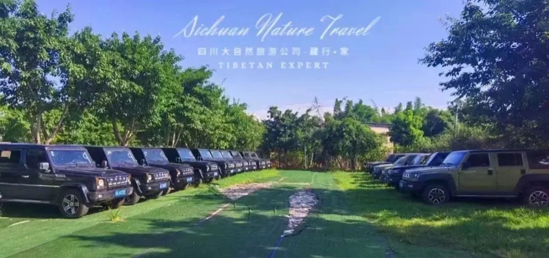 疫情已去，车辆火爆预定中