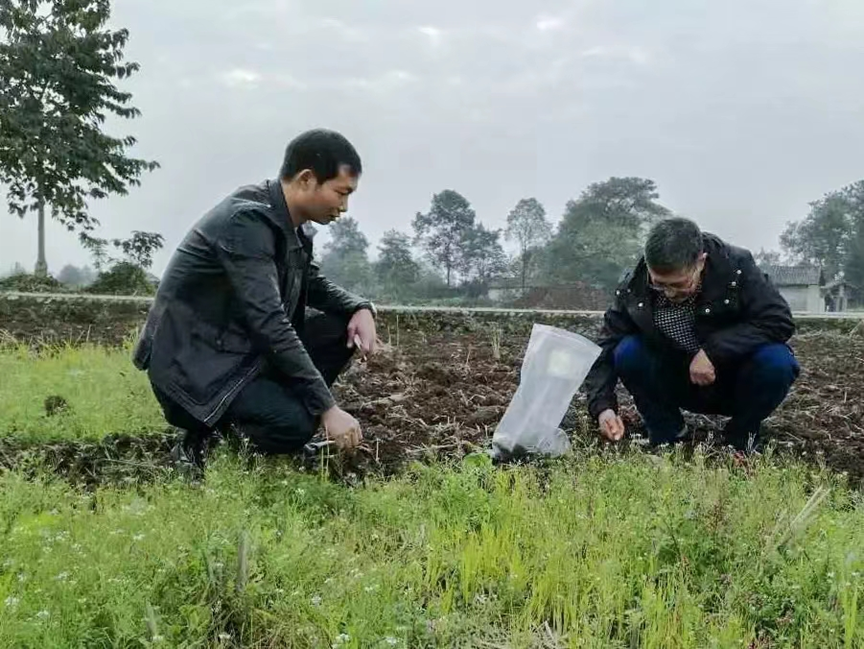 集团公司与成都理工大学水土自然资源院雷教授一行现场调研勘测土地治理